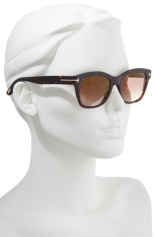 Tom Ford Lauren 02 Mirrored Square Sunglasses In Dark Havana/gradient Brown