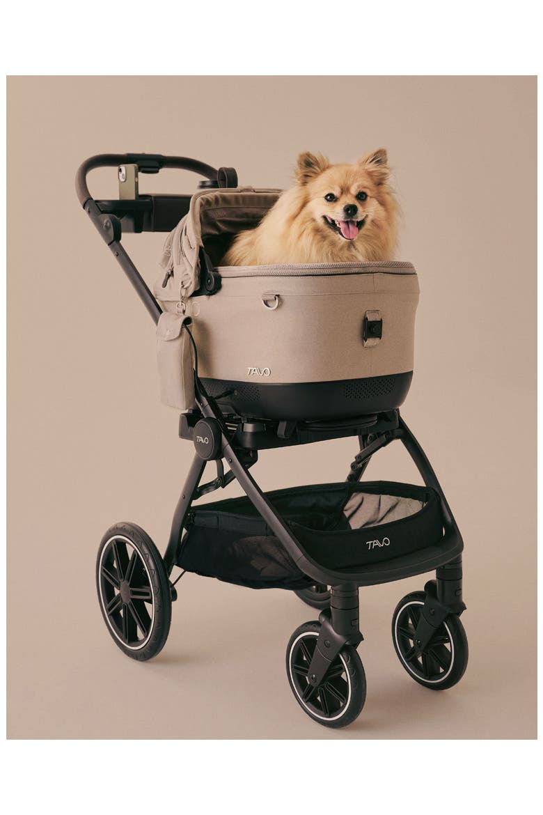 Maeve™ + Roscoe™ 3-In-1 Pet Travel System, Alternate, color, FAWN