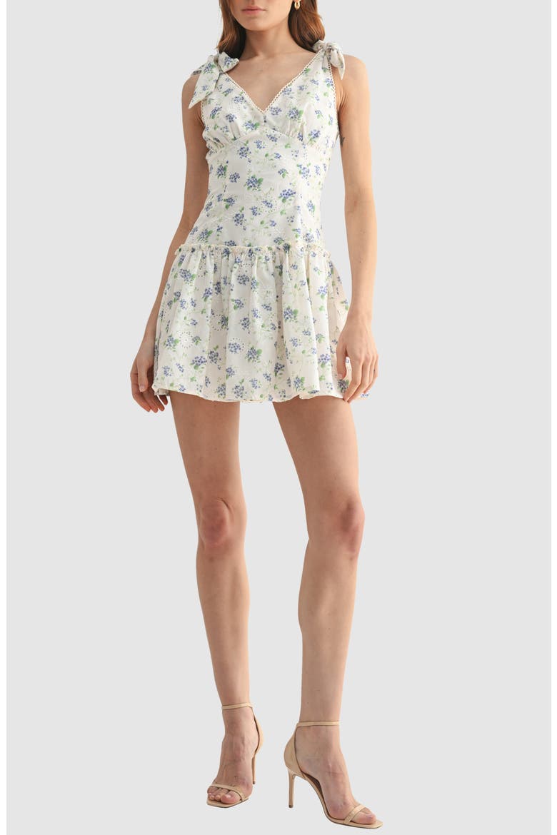 Floral Embroidered Eyelet Tie Strap Minidress, Main, color, CREAM/BLUE