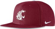 Nike Men's Nike Crimson Washington State Cougars 2025 On-Field True Performance Baseball Fitted Hat