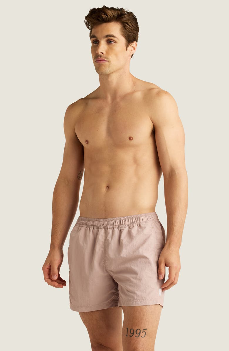 AUTO-REPLY<sup>™</sup> Sebastian Solid 4-Inch Nylon Swim Trunks, Alternate, color, Clay