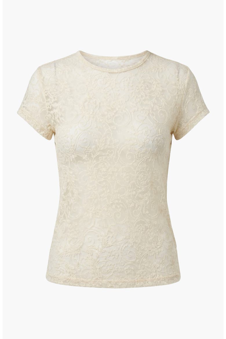 Sheer Lace Fitted Floral Mesh Overlay Tee, Alternate, color, Beige
