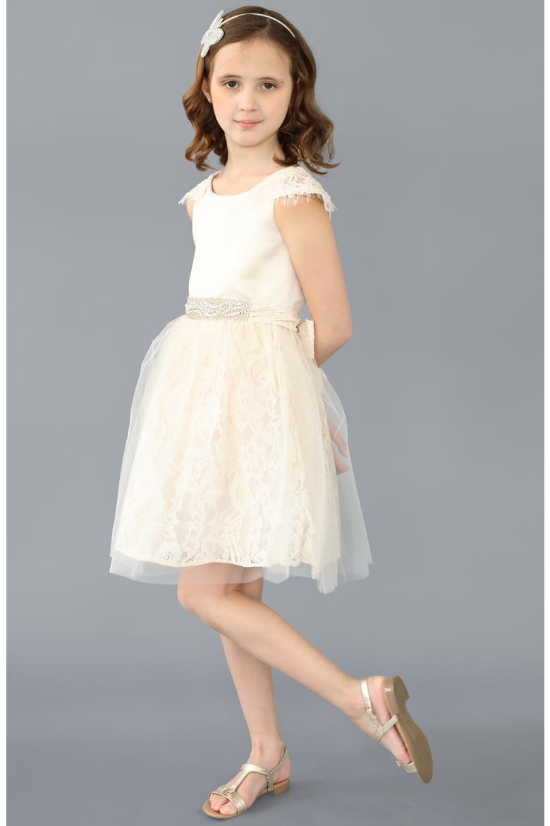 The Sarah Floral Lace Dress, Alternate, color, CHAMPAGNE