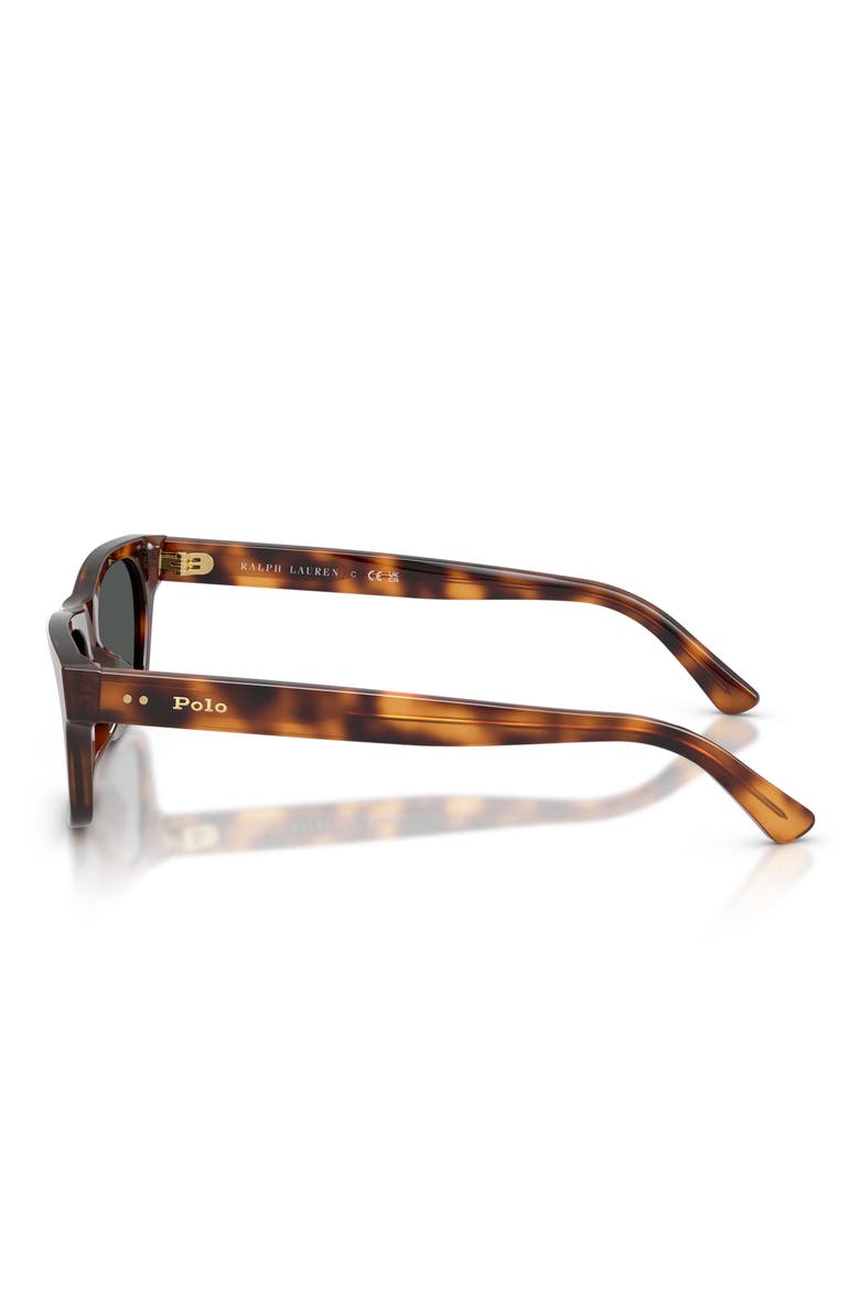 PH4238U 53mm Rectangle Sunglasses, Alternate, color, SHINY MARRONE TARTARUGA / GREY