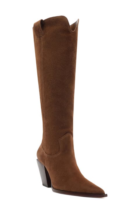 Maine Up Pointed Toe Boot (Women)