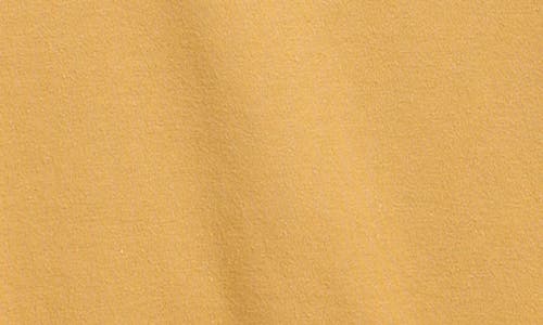 True Religion Kids' Horseshoe Long Sleeve Cotton Graphic T-shirt In Brown