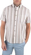 Tailor Vintage Puretec Linen Cotton Button-Up Shirt