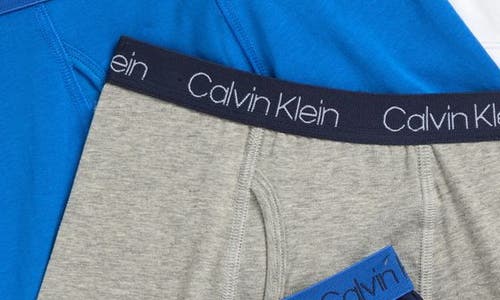 Calvin Klein Kids' Assorted 5-pack Boxer Briefs In Blue