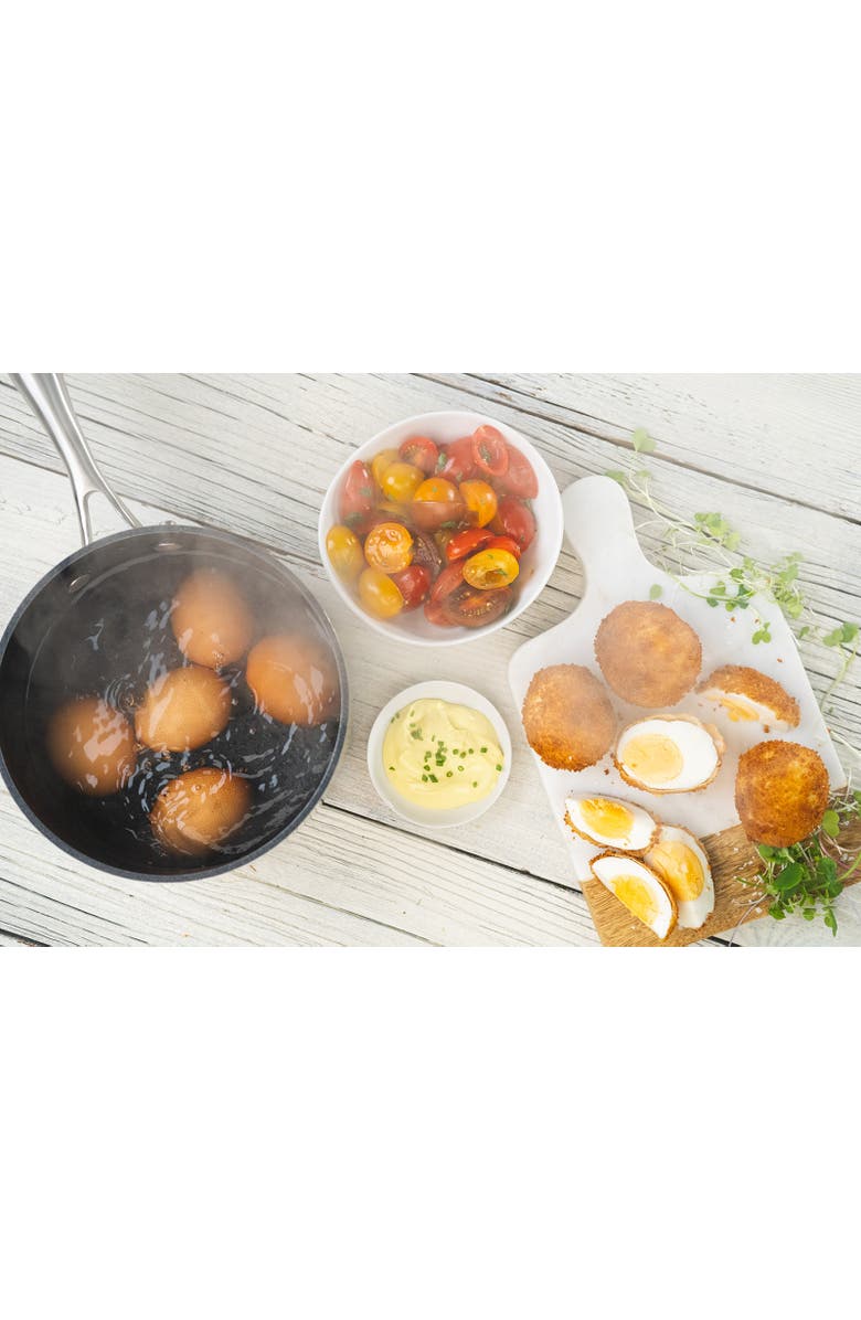 Scanpan Professional 3.25 Quart Saucepan With Lid, Alternate, color, Black