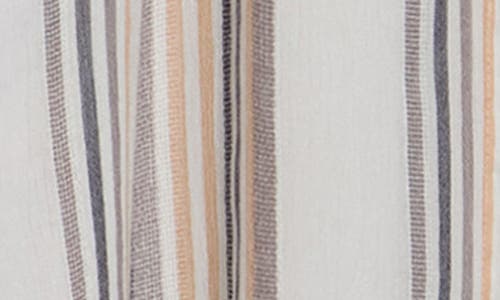 Amuse Society Last Dance Stripe Woven Shirtdress In Multi