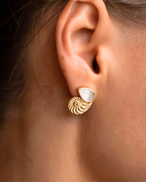 Ottoman Hands Nautilus Seashell Mother Of Pearl Stud Earrings In Gold