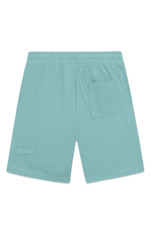 Dalix Mens Astronaut Midweight Gym Short In Blue