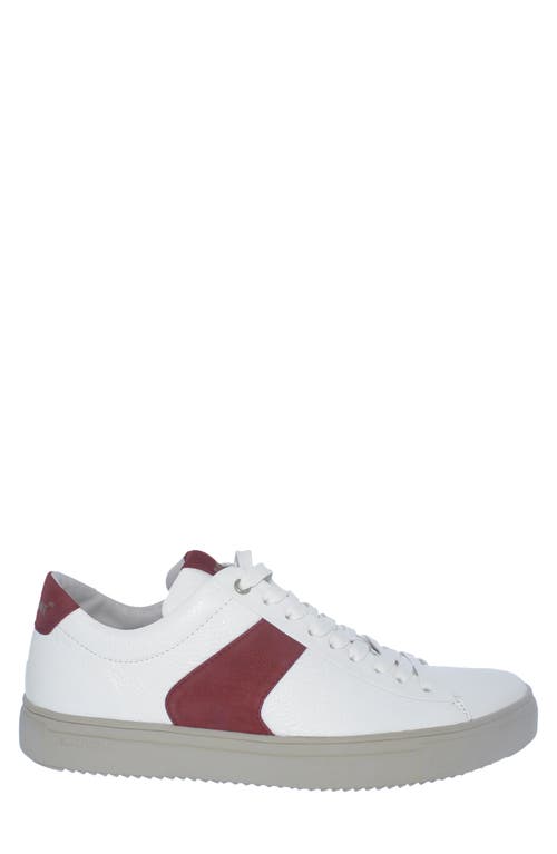 Blackstone Stripe Sneaker In White
