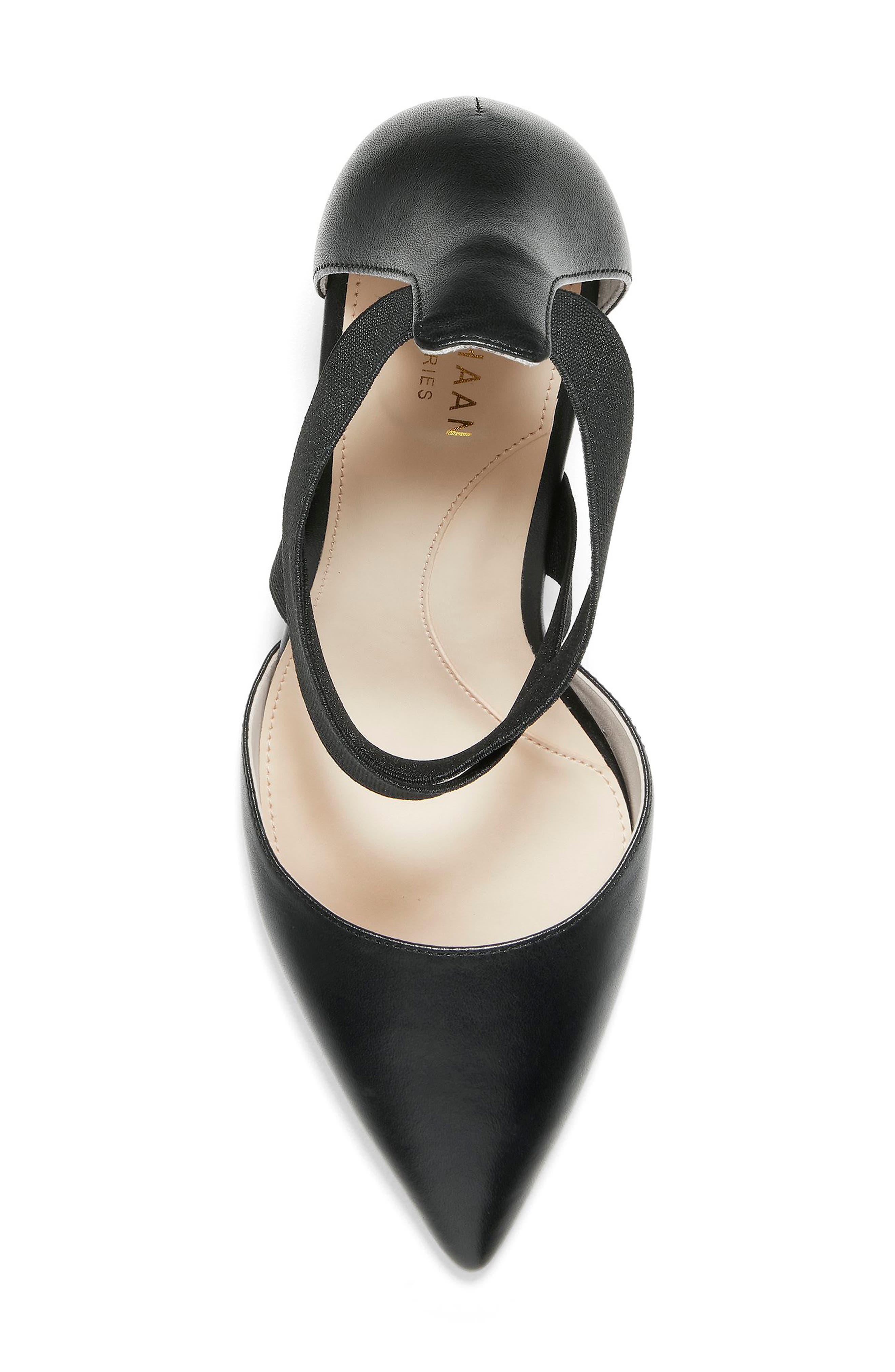 Cole Haan Grand Ambition Maikki Pointed Toe Pump, Alternate, color, 