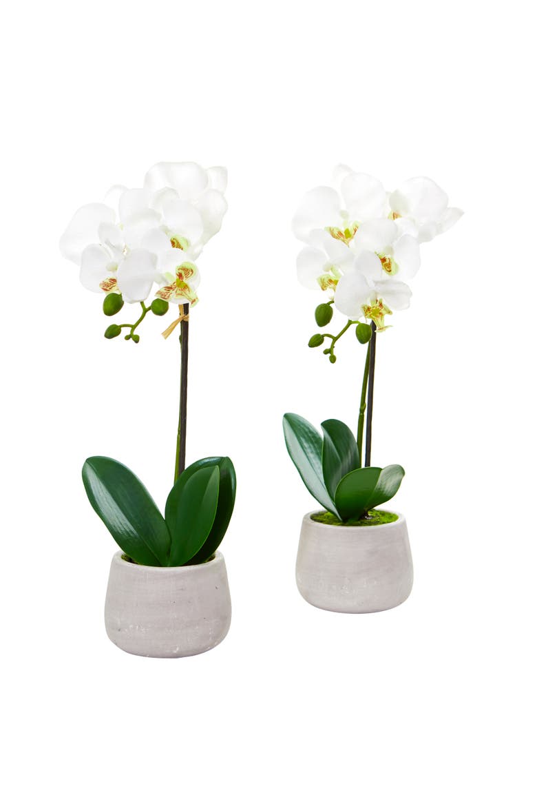 Phalaenopsis Orchid Artificial Arrangement, Main, color, White