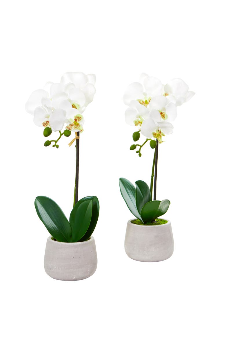 NEARLY NATURAL Phalaenopsis Orchid Artificial Arrangement, Main, color, White