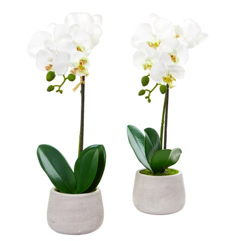 Phalaenopsis Orchid Artificial Arrangement (Set of 2)