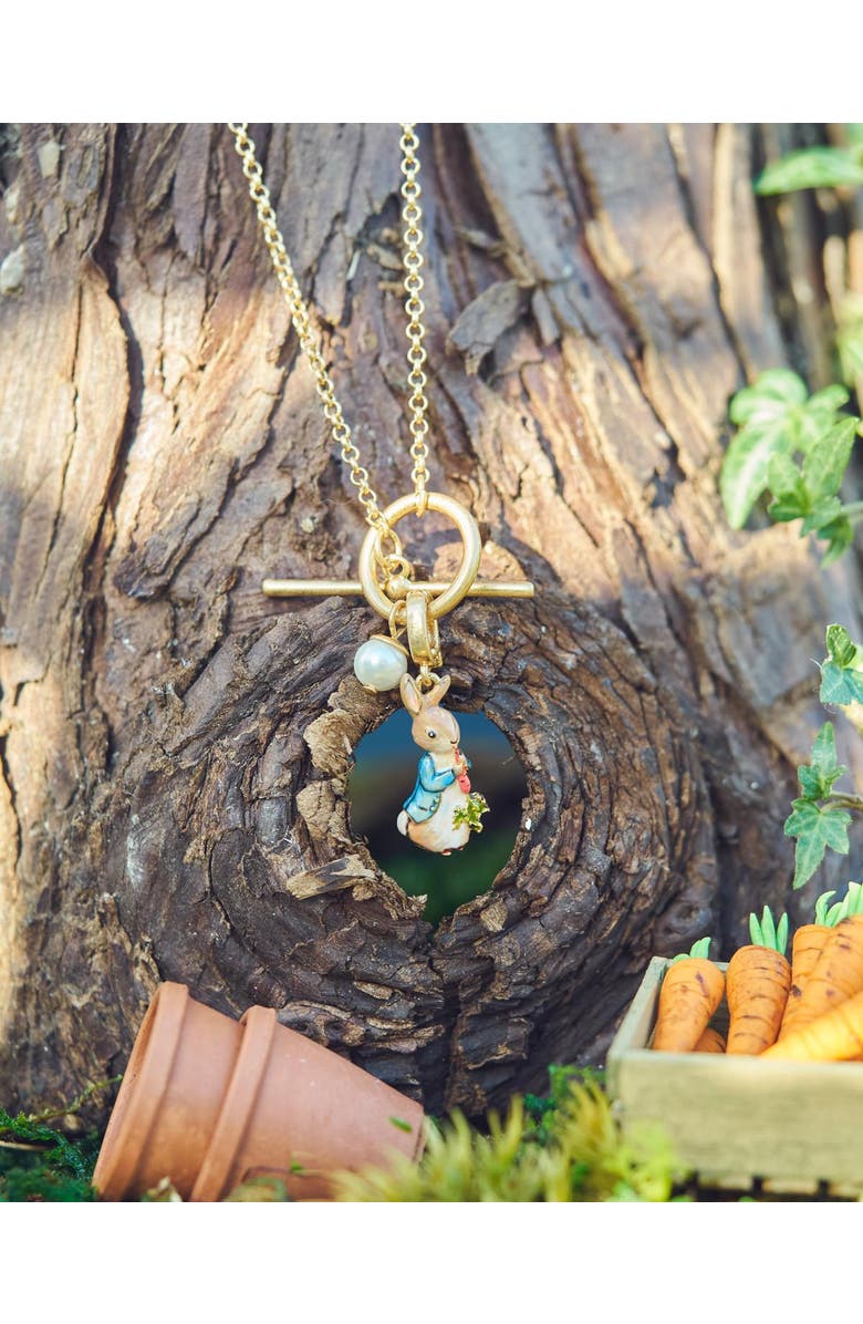 Fable England x Peter Rabbit Necklace, Alternate, color, Gold
