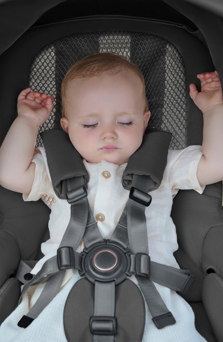 Inglesina Aptica Stroller with Bassinet & Stand, Alternate, color, 