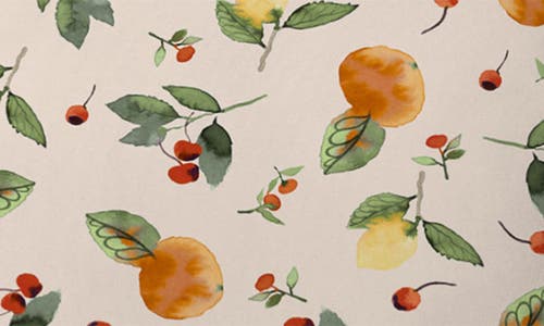 Deny Designs Citrus Fruits Throw Pillow