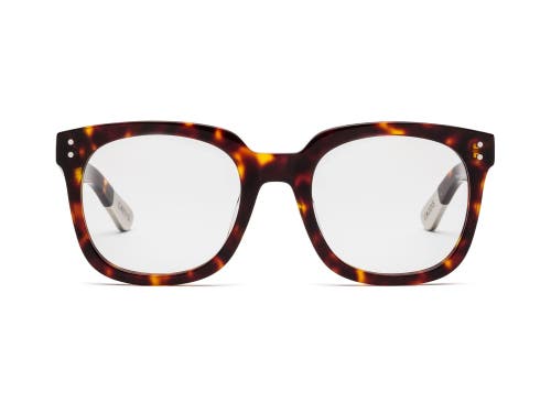 Caddis Jockamo | Reading Glasses In Brown