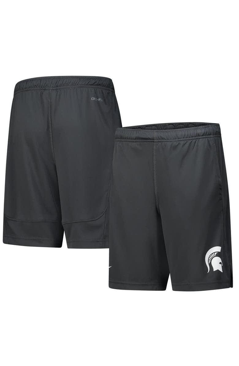 Nike Youth Nike  Anthracite Michigan State Spartans Fly Performance Shorts, Main, color, 