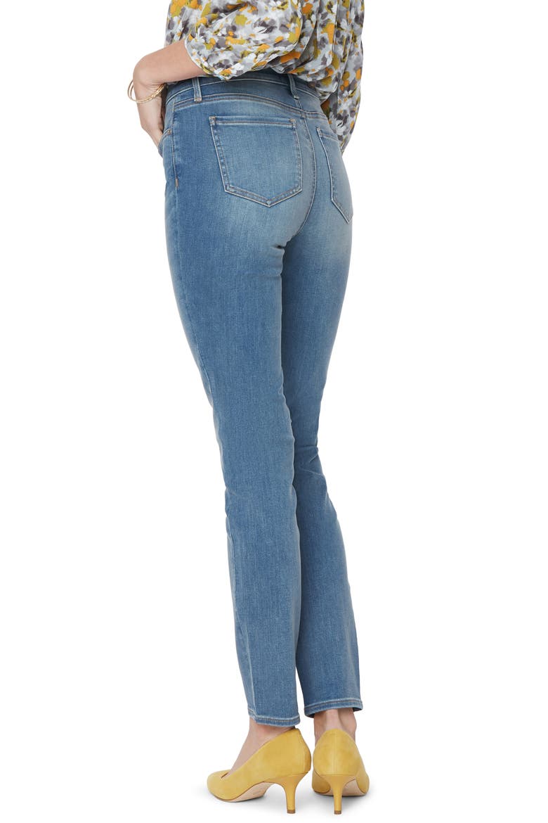 Alina Stretch Skinny Jeans, Alternate, color, CLAYBURN