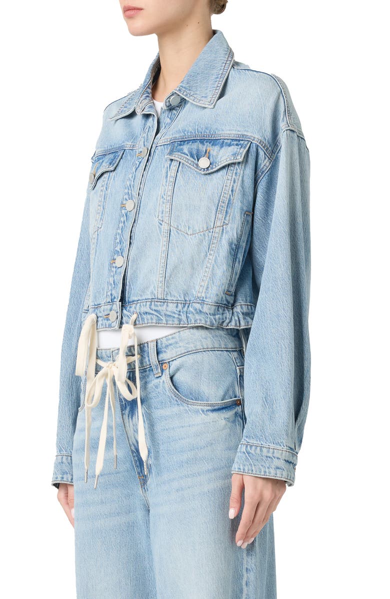 BLANKNYC Crop Denim Jacket, Alternate, color, 