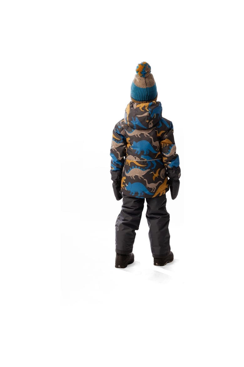 Dinosaur Chill Lightweight Jacket & Foot Strap Pants Two Piece Snowsuit, Alternate, color, Grey and Blue Dinosaur Print