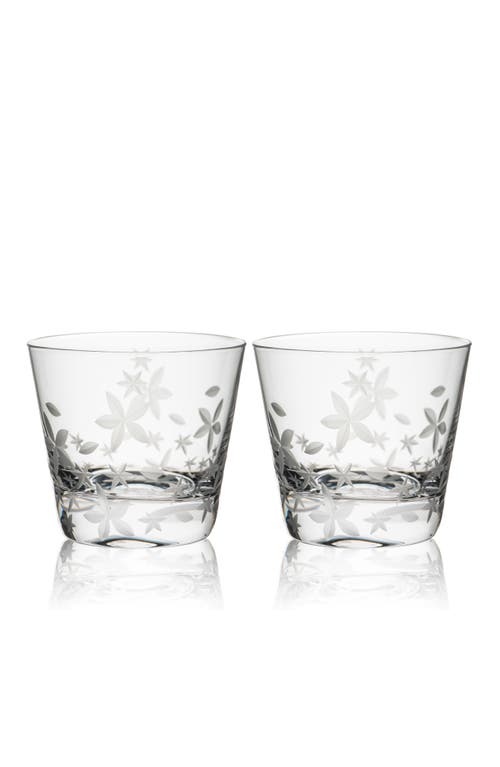 Caskata Chatham Bloom Clear In Transparent