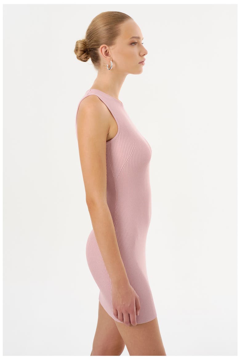 SHAY | Rib Knit Mini Dress, Alternate, color, Rose
