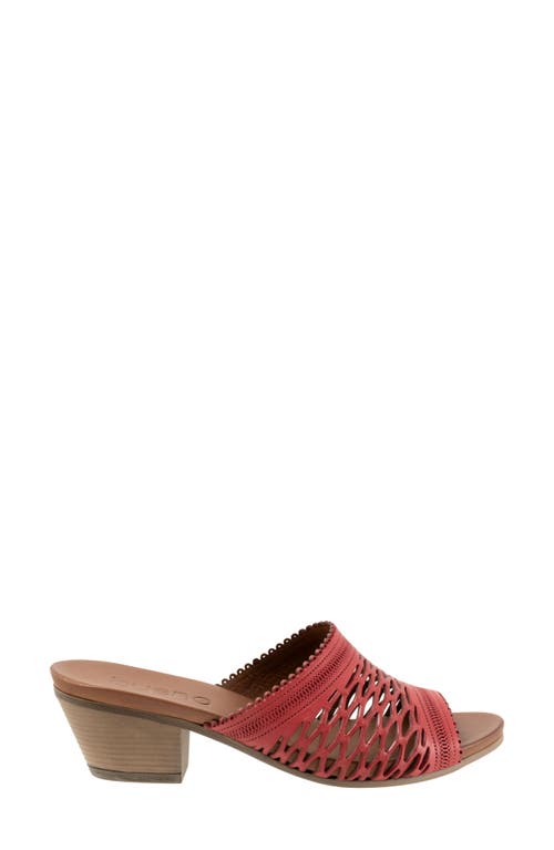 Bueno Lillian Block Heel Sandal In Red