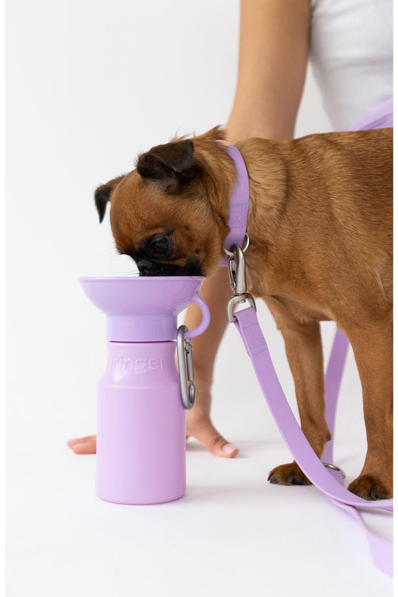 Dog Leash & 22 oz. Water Bottle Set, Alternate, color, LILAC