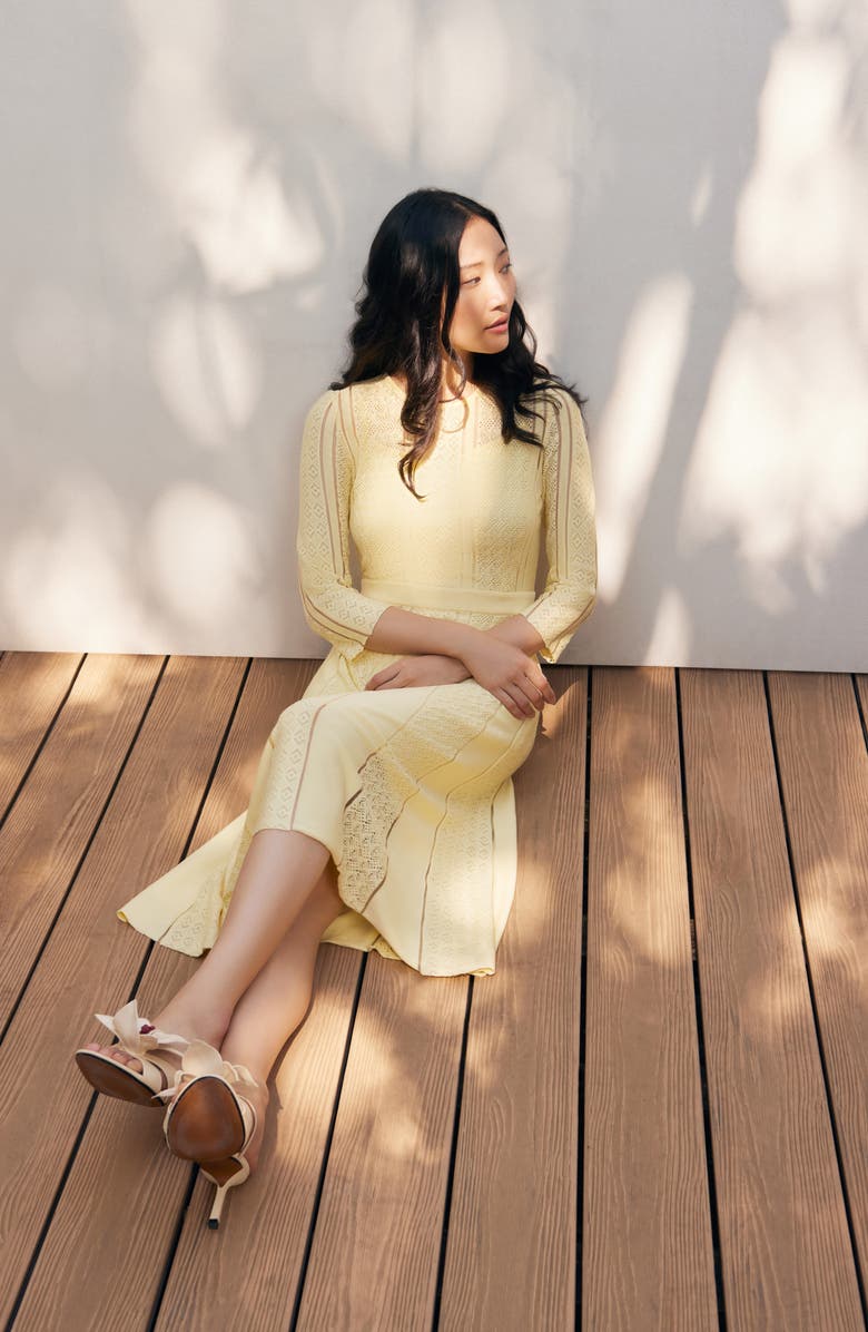 Misook Pointelle Knit A-Line Dress, Alternate, color, 