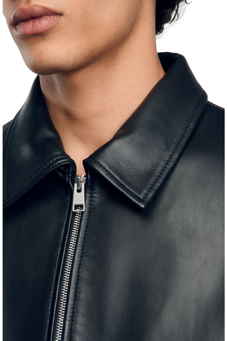 Plain leather jacket, Alternate, color, Black