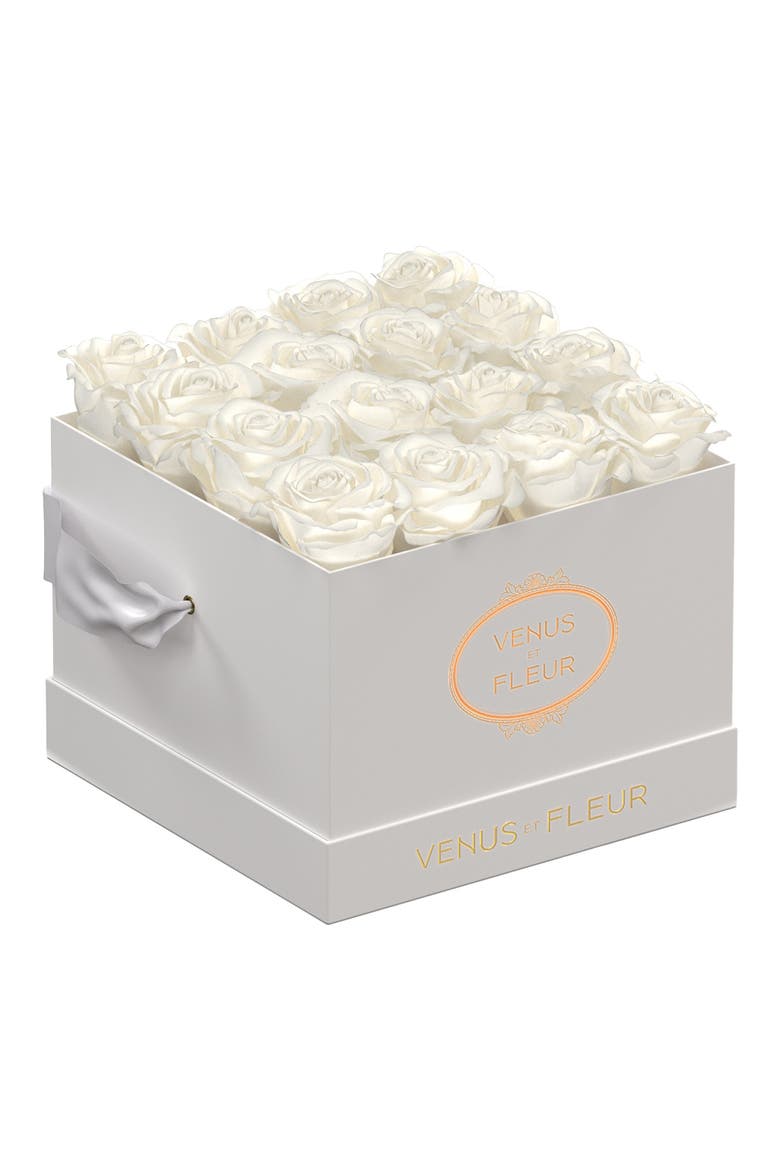Classic Small Square Eternity Roses, Main, color, PURE WHITE