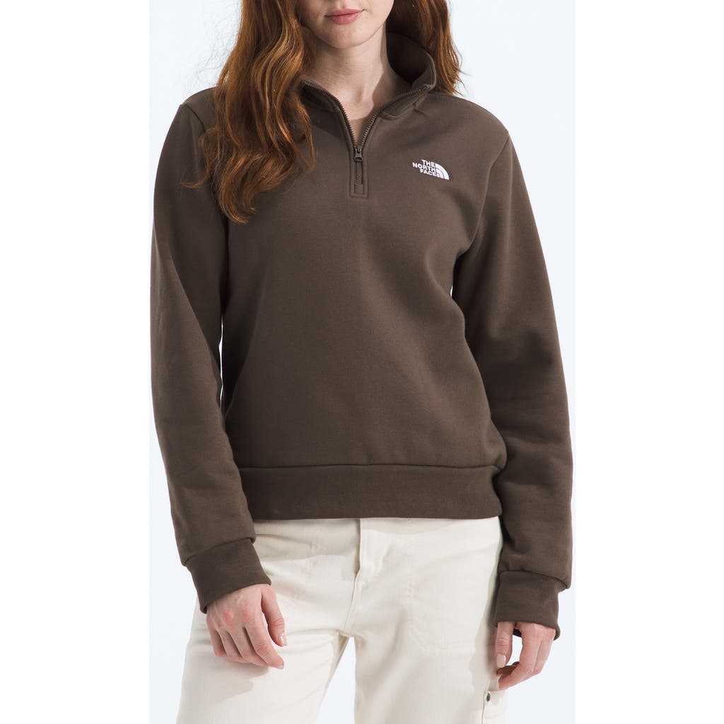 The North Face Evolution Quarter Zip Pullover In Brown