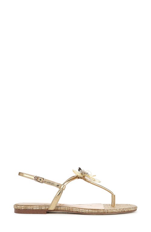 SAM EDELMAN SAM EDELMAN EDEN SLINGBACK SANDAL
