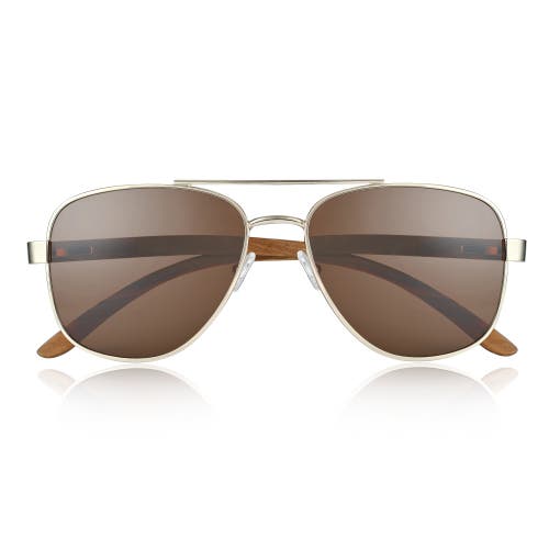 Earth Wood Positano Polarized Sunglasses In Brown