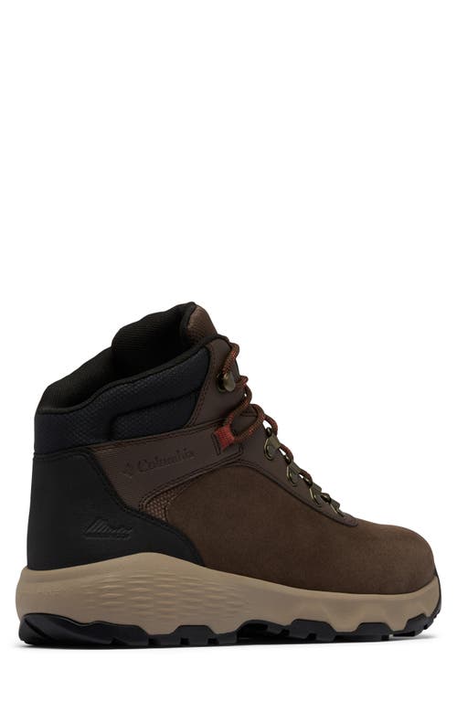 Columbia Newton Wander™ Waterproof Hiking Boot In Cordovan/spice