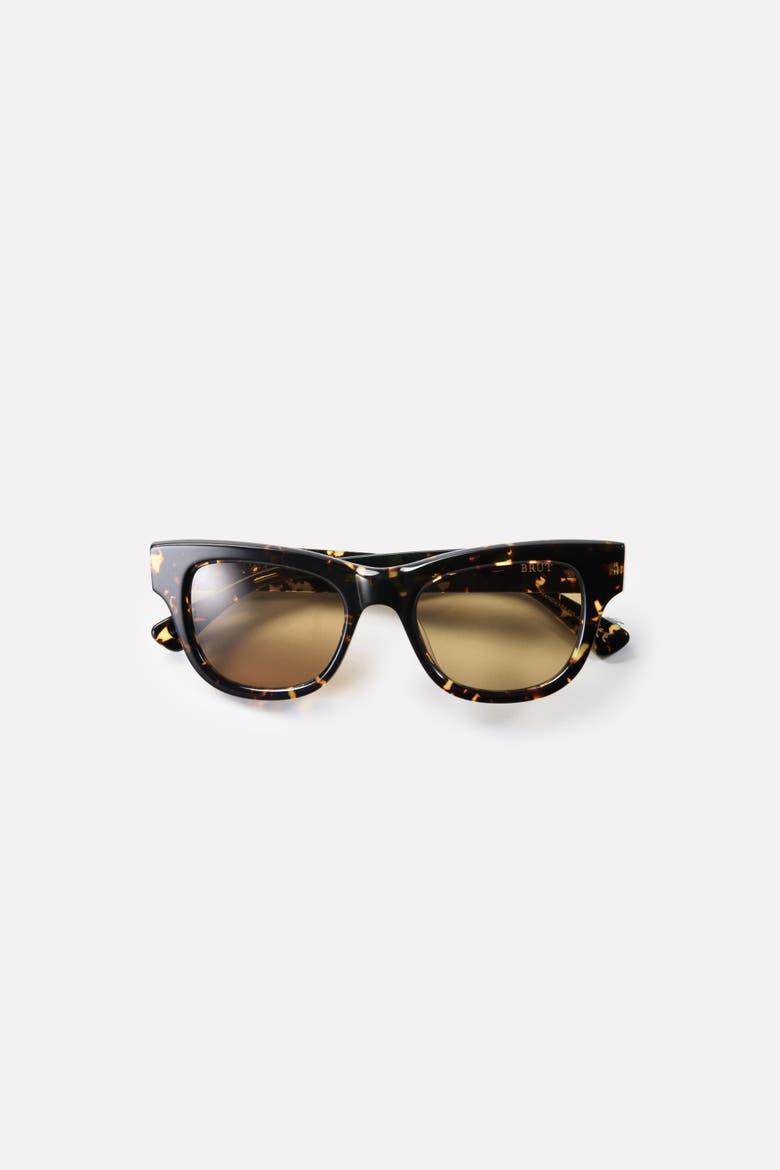 Brut Sunglasses, Alternate, color, Crystal Dark Tortoise / Amber