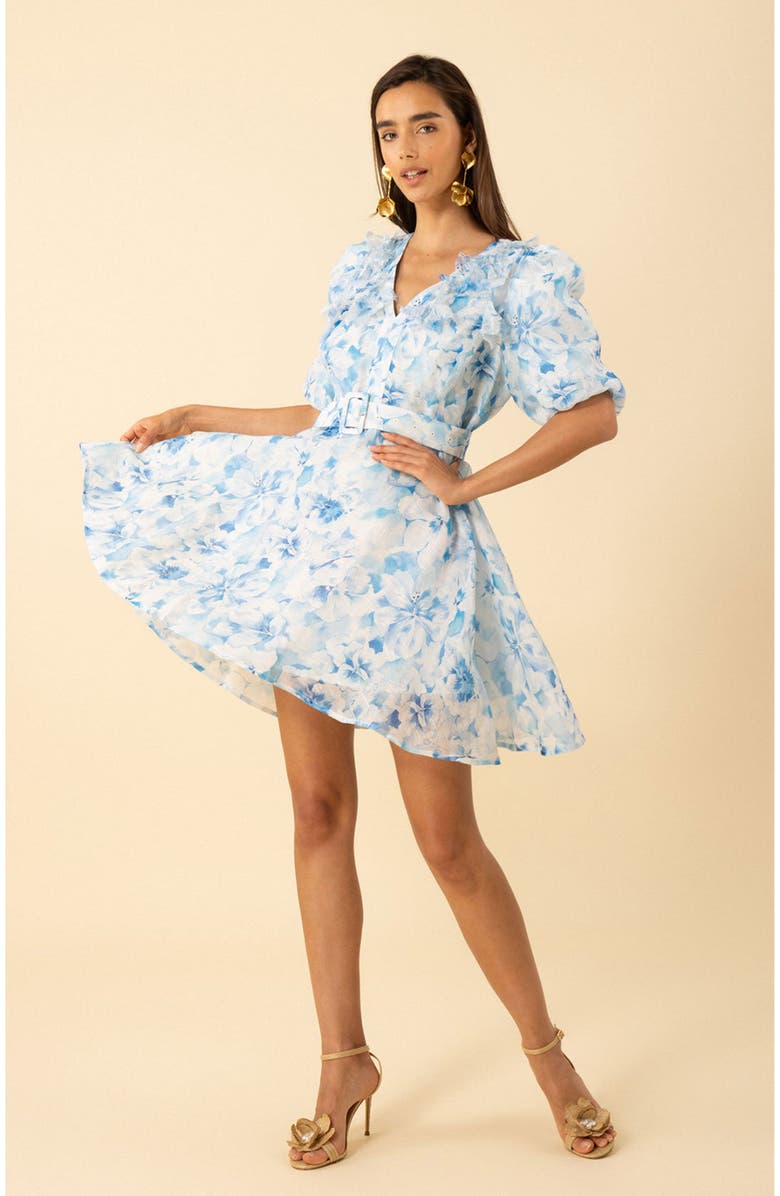 Hale Bob Promise Floral Organza Dress, Alternate, color, 