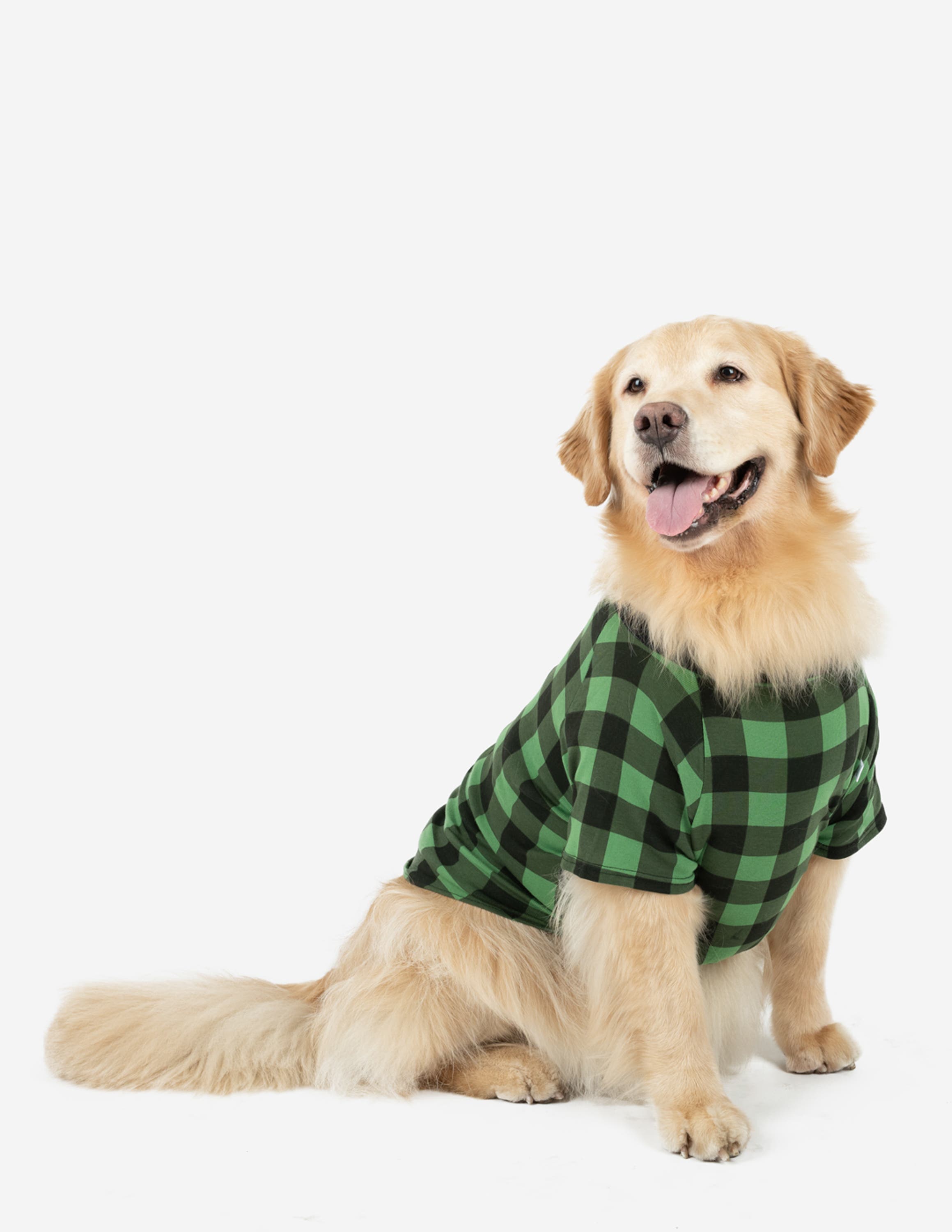 selected Plaid Black & Green