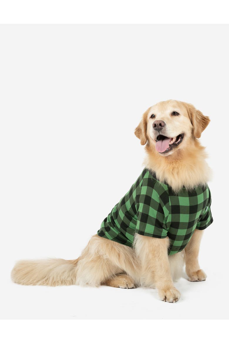 Dog Cotton Matching Family Holiday Pajamas, Main, color, Plaid Black & Green