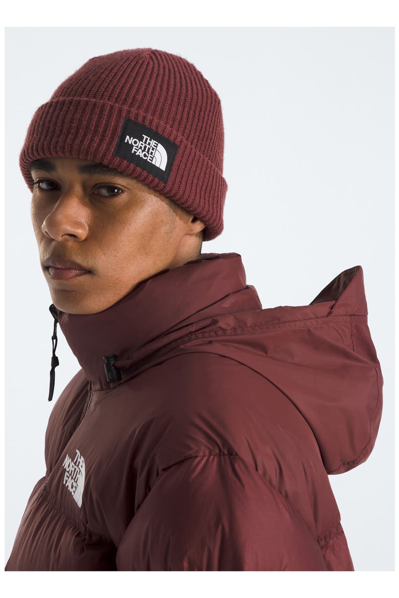 1996 Retro Nuptse 700 Fill Power Down Packable Jacket, Alternate, color, SUMAC