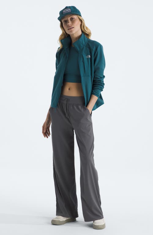 The North Face Performance Fleece Full Zip Jacket In Blue