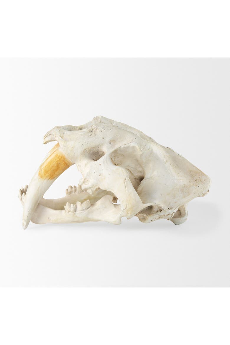 Fozzil 9L x 9W Resin Sabretooth Skull Replica, Alternate, color, Beige