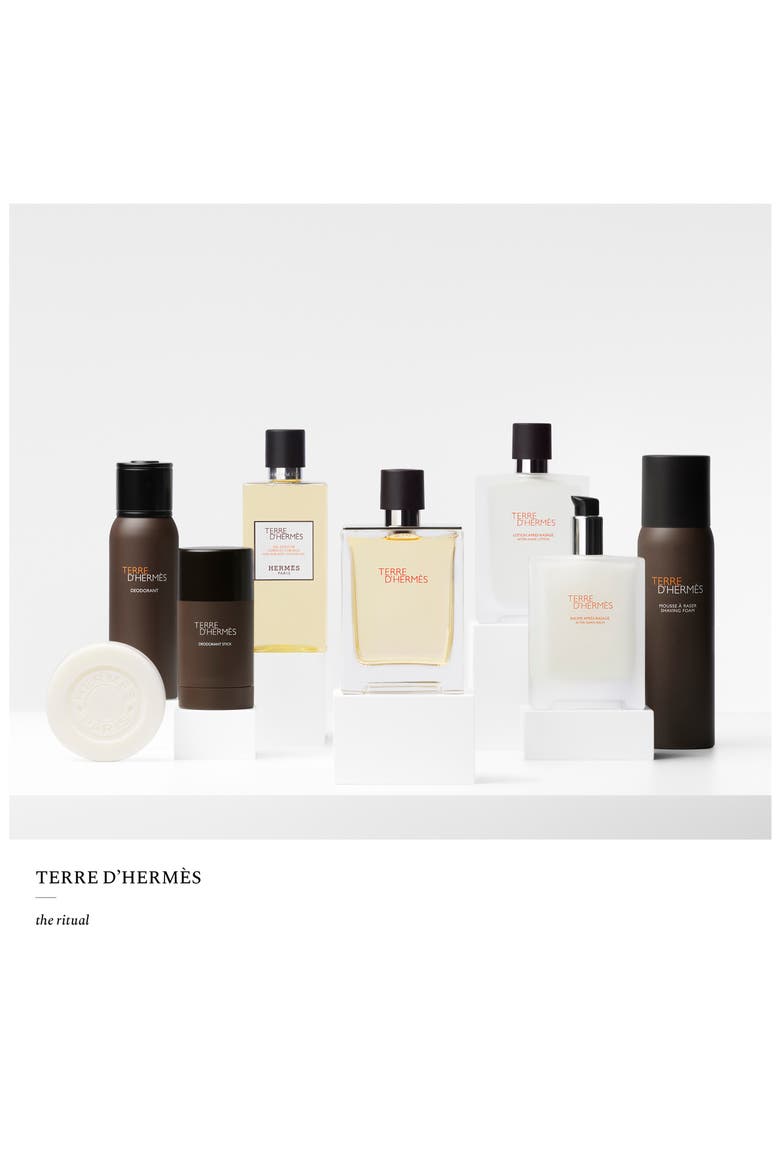 Terre d’Hermès - Eau de Toilette Duo $228 Value, Alternate, color, NO COLOR