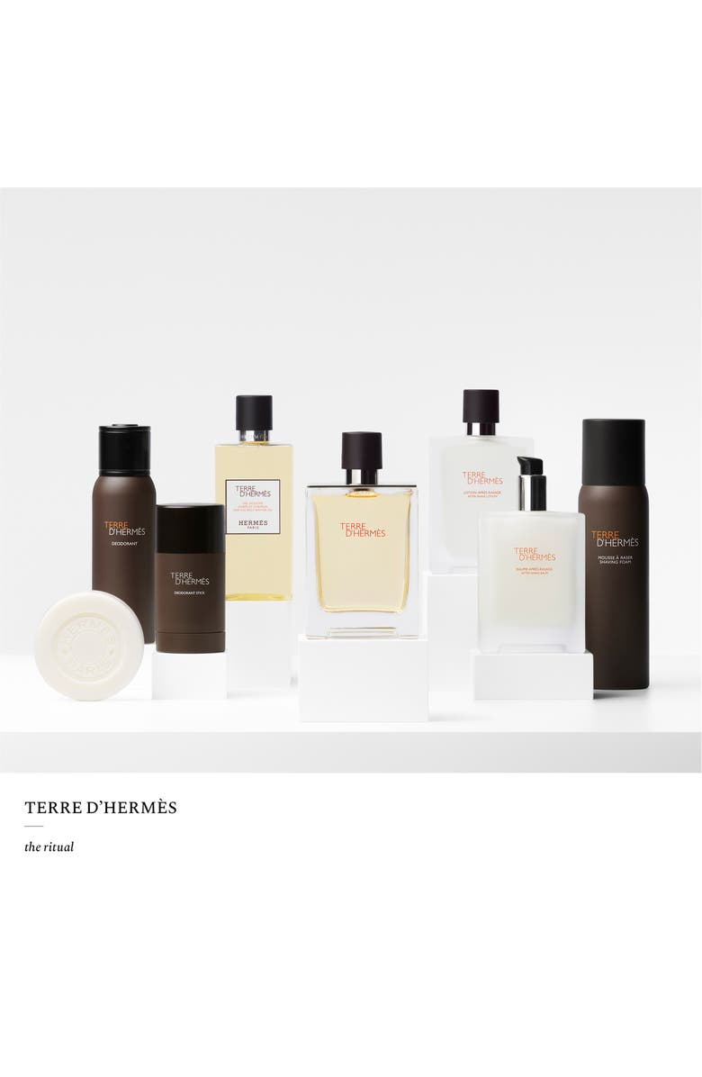 Hermès Terre d’Hermès - Eau de Toilette Duo $228 Value, Alternate, color,