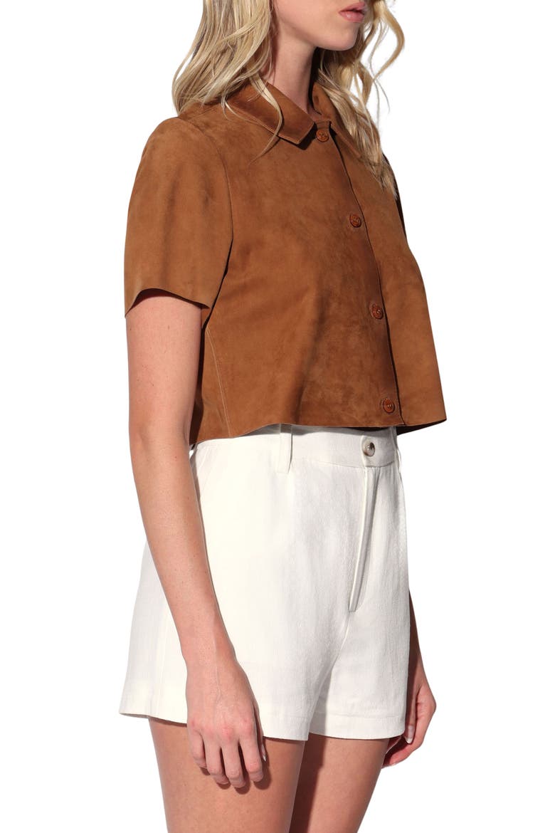 Karla Suede Top, Alternate, color, OAK SUEDE